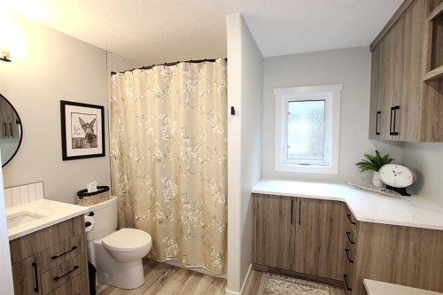 108 Marina Bay Court, Sylvan Lake, AB - Indoor Photo Showing Bathroom