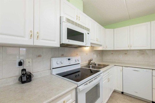 205-4319 49 Street, Innisfail, AB - Indoor Photo Showing Kitchen With Double Sink
