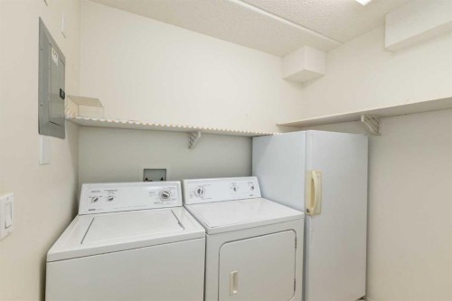 205-4319 49 Street, Innisfail, AB - Indoor Photo Showing Laundry Room