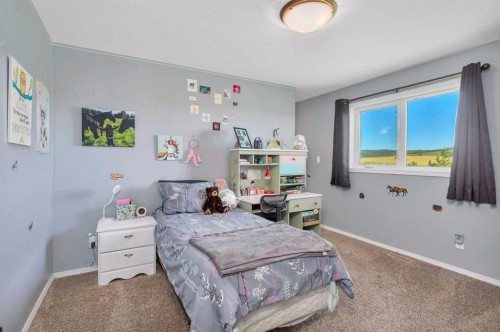394073 Range Road 44, Rural Clearwater County, AB - Indoor Photo Showing Bedroom