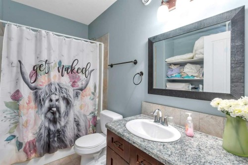 394073 Range Road 44, Rural Clearwater County, AB - Indoor Photo Showing Bathroom