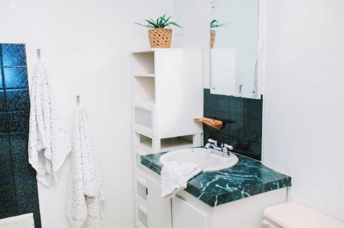 4901 48 Street South, Stettler, AB - Indoor Photo Showing Bathroom