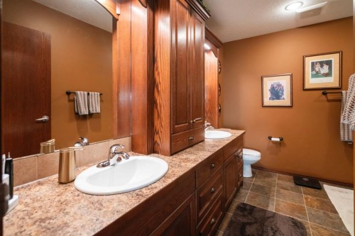 229-41251 Range Road 210, Rural Camrose County, AB - Indoor Photo Showing Bathroom