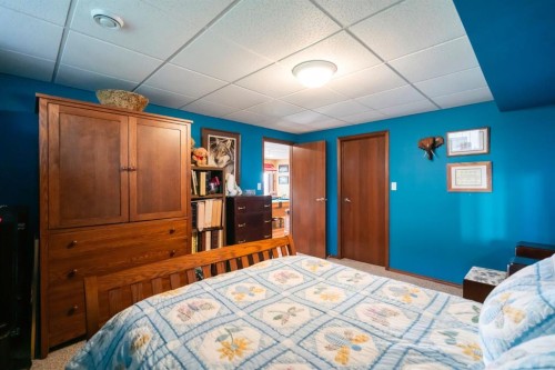 229-41251 Range Road 210, Rural Camrose County, AB - Indoor Photo Showing Bedroom