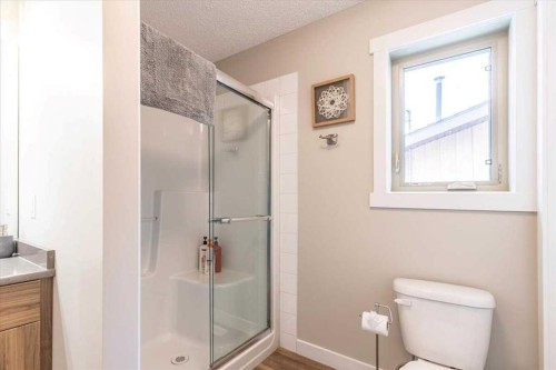 33 Lakeshore Drive, Grandview, AB - Indoor Photo Showing Bathroom