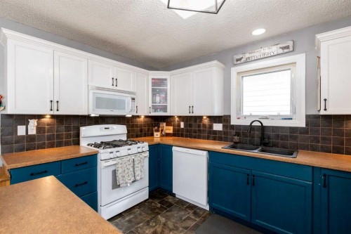62 Rupert Crescent, Red Deer, AB - Indoor Photo Showing Kitchen With Double Sink