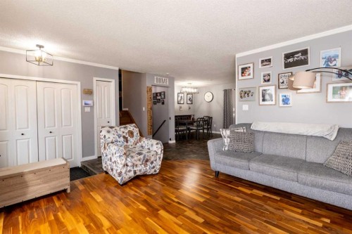 62 Rupert Crescent, Red Deer, AB - Indoor Photo Showing Living Room