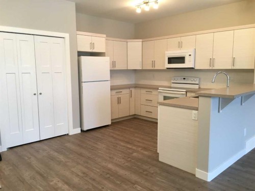 61 Maclean Close, Blackfalds, AB - Indoor Photo Showing Kitchen