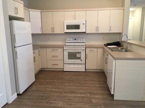 61 Maclean Close, Blackfalds, AB - Indoor Photo Showing Kitchen With Double Sink