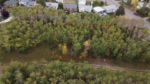 5007, 5009, 5011 42B Street, Ponoka, AB 