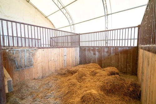 Twp 474, Rural Camrose County, AB 