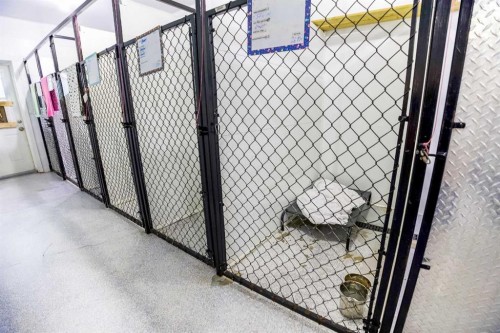 27006 Township Road 405.5 Township, Rural Lacombe County, AB 