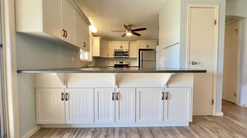 3219 Olson Street, Donalda, AB - Indoor Photo Showing Kitchen With Upgraded Kitchen