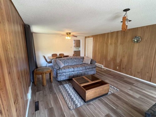 220 Lady Vivian Avenue West, Galahad, AB - Indoor Photo Showing Living Room