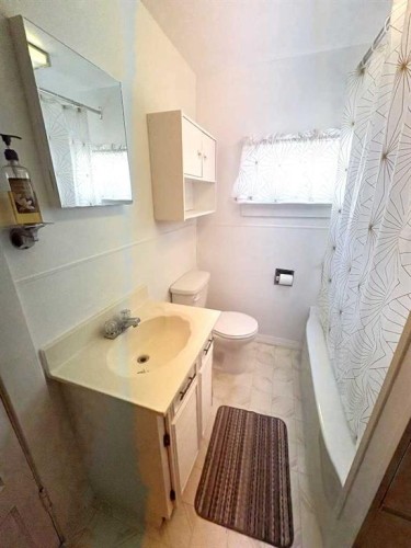 220 Lady Vivian Avenue West, Galahad, AB - Indoor Photo Showing Bathroom