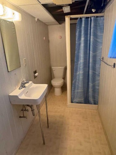 220 Lady Vivian Avenue West, Galahad, AB - Indoor Photo Showing Bathroom