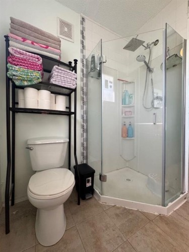 3807 62 Street, Camrose, AB - Indoor Photo Showing Bathroom