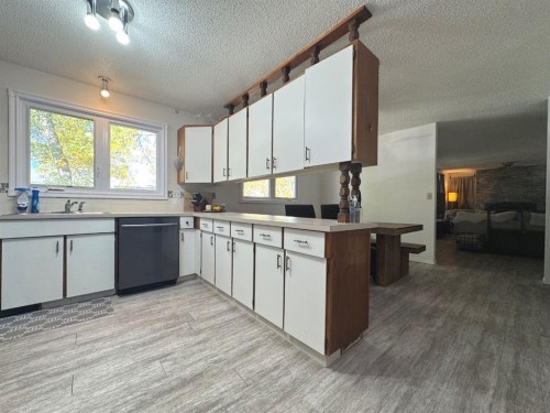 3807 62 Street, Camrose, AB - Indoor Photo Showing Kitchen