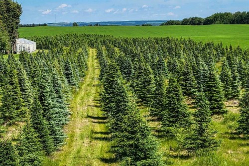 38551 Range Road 21, Rural Red Deer County, AB 