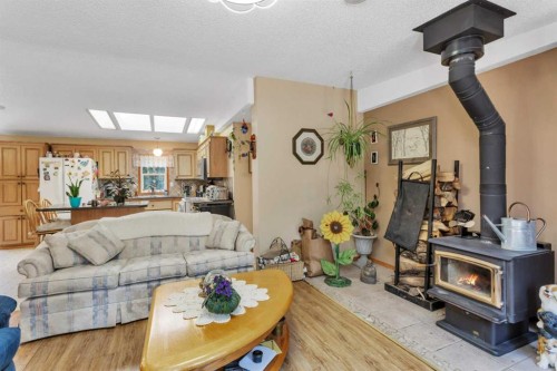 220-5241 Township Road 325A, Rural Mountain View County, AB - Indoor Photo Showing Living Room With Fireplace