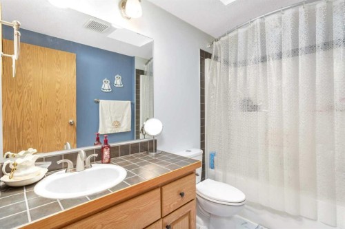220-5241 Township Road 325A, Rural Mountain View County, AB - Indoor Photo Showing Bathroom