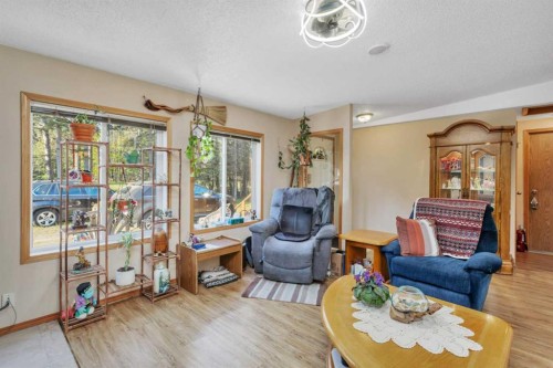 220-5241 Township Road 325A, Rural Mountain View County, AB - Indoor Photo Showing Living Room