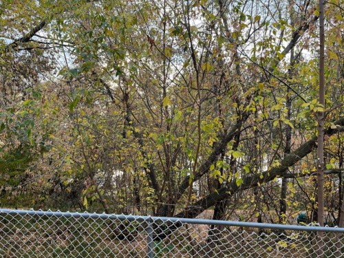 65 Leung Place, Blackfalds, AB - Outdoor