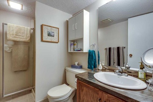 4313 46A Avenue, Red Deer, AB - Indoor Photo Showing Bathroom