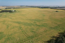 25507 Highway 12  Rural Lacombe County, AB T0C 0Y0