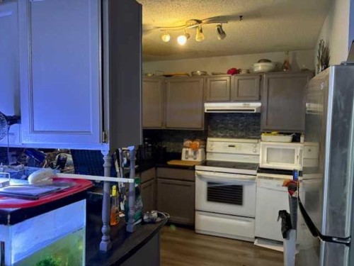 5232 55 Avenue, Eckville, AB - Indoor Photo Showing Kitchen