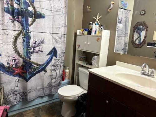 5232 55 Avenue, Eckville, AB - Indoor Photo Showing Bathroom