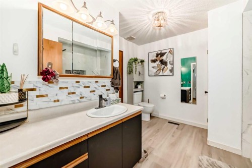 5223 56 Avenue, Eckville, AB - Indoor Photo Showing Bathroom