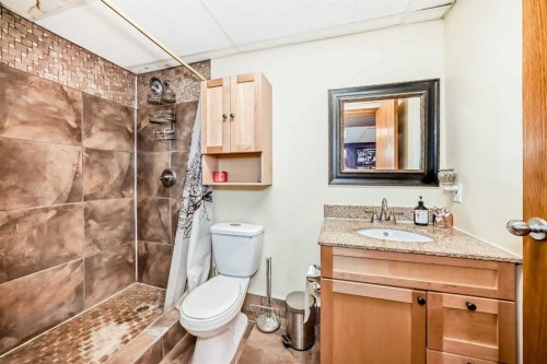 5223 56 Avenue, Eckville, AB - Indoor Photo Showing Bathroom