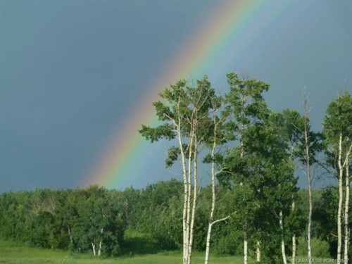 9-420069 Range Road 284, Rural Ponoka County, AB 