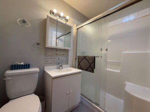 5002 49 Avenue, Botha, AB - Indoor Photo Showing Bathroom