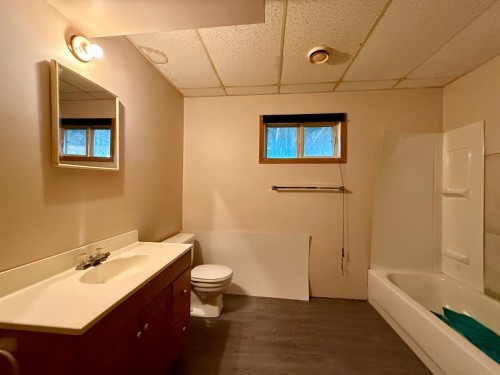 5002 49 Avenue, Botha, AB - Indoor Photo Showing Bathroom