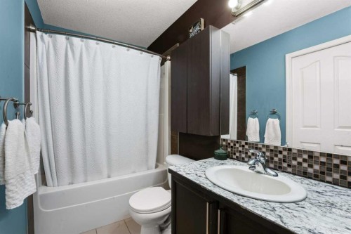 2034 Luxstone Boulevard Sw, Airdrie, AB - Indoor Photo Showing Bathroom