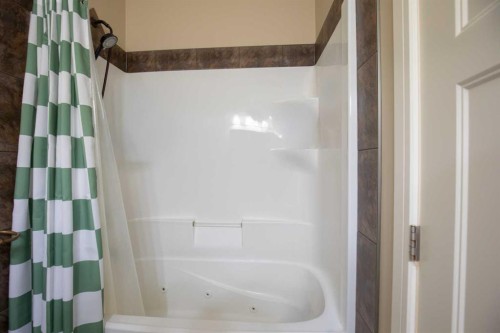 42 Iron Wolf Court, Lacombe, AB - Indoor Photo Showing Bathroom