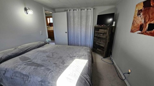 4529 44 Street, Castor, AB - Indoor Photo Showing Bedroom