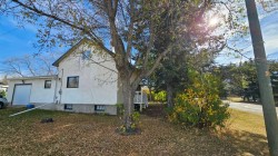 4529 44 Street  Castor, AB T0C 0X0