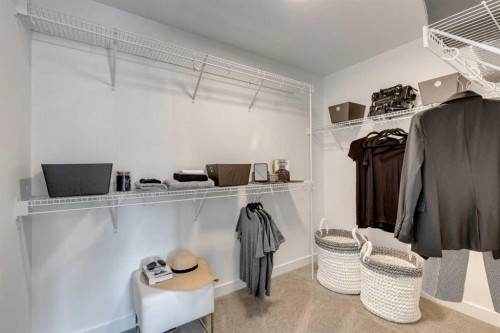 134 Saddlebred Place, Cochrane, AB - Indoor With Storage