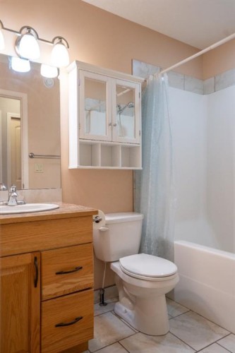 4521 Van Eaton Way, Clive, AB - Indoor Photo Showing Bathroom