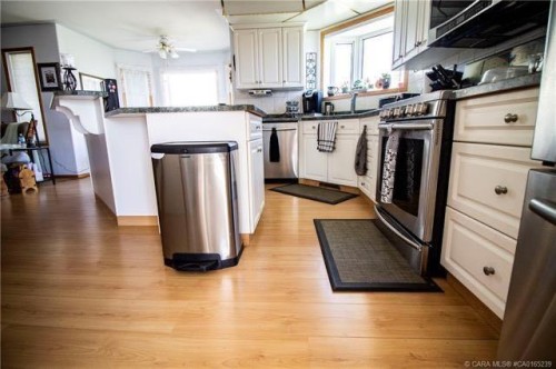 49210 B Range Road 162, Holden, AB - Indoor Photo Showing Kitchen