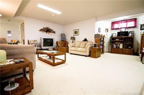 49210 B Range Road 162, Holden, AB - Indoor Photo Showing Living Room