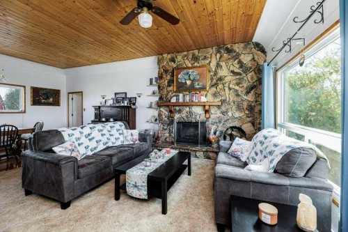 14503 Highway 12, Castor, AB - Indoor Photo Showing Living Room With Fireplace