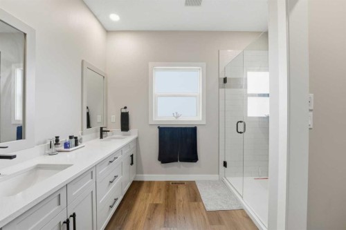 118-44101 Range Road 214, Rural Camrose County, AB - Indoor Photo Showing Bathroom