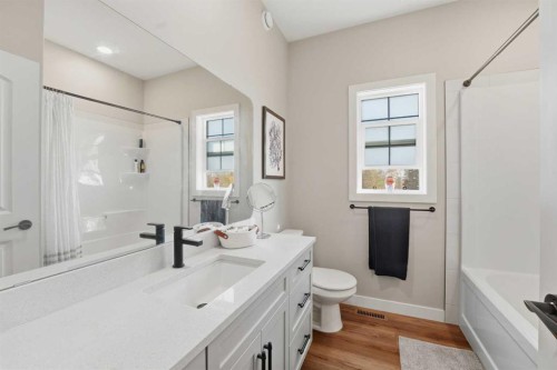 118-44101 Range Road 214, Rural Camrose County, AB - Indoor Photo Showing Bathroom