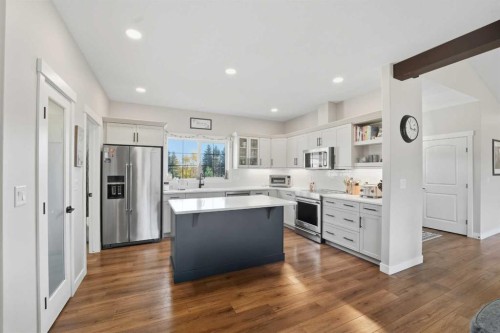 118-44101 Range Road 214, Rural Camrose County, AB - Indoor Photo Showing Kitchen With Stainless Steel Kitchen With Upgraded Kitchen