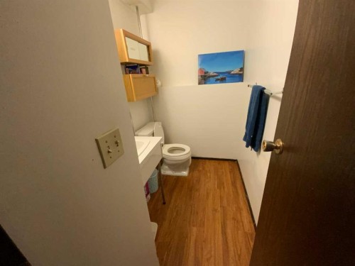 443 4 Avenue Se, Three Hills, AB - Indoor Photo Showing Bathroom