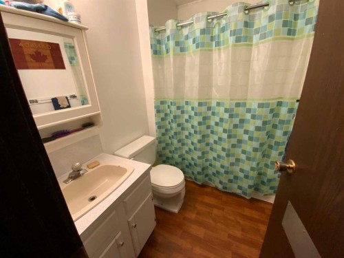 443 4 Avenue Se, Three Hills, AB - Indoor Photo Showing Bathroom